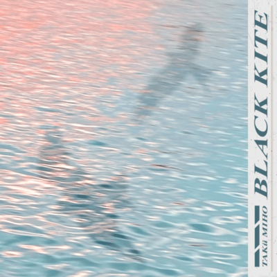 BLACK KITE Front Cover