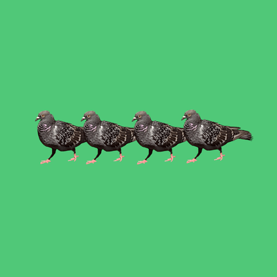 rooftop Front Cover