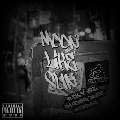 moon like sun Front Cover