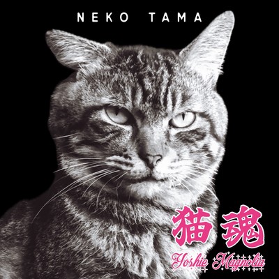 猫魂のジャケット写真