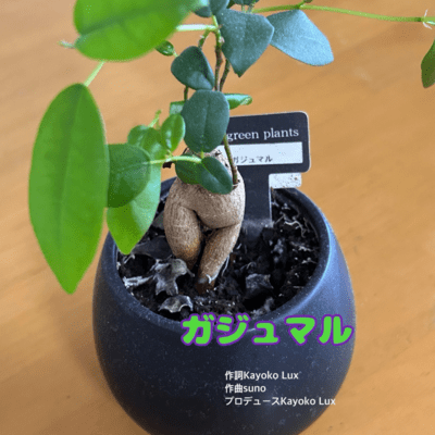 Gajyumaru Front Cover