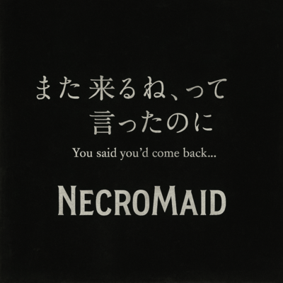 You said you'd come back... but you never did Front Cover