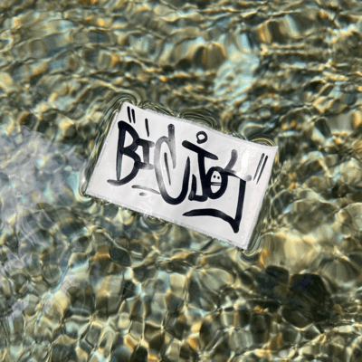 Good Bye Front Cover