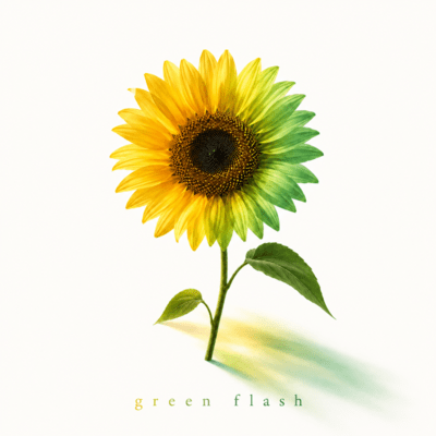 Green Flash Front Cover