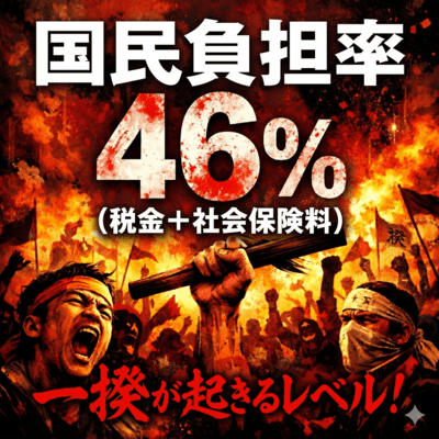 National Burden Rate 46% Front Cover