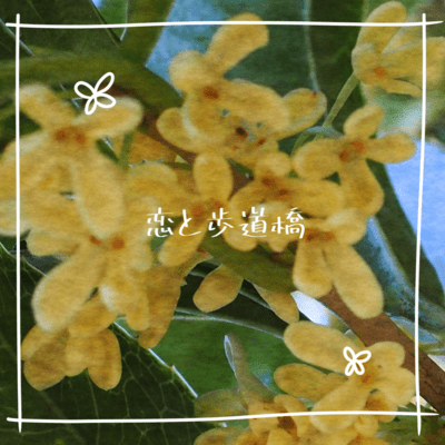 overpass (feat. HATSUNE MIKU) Front Cover