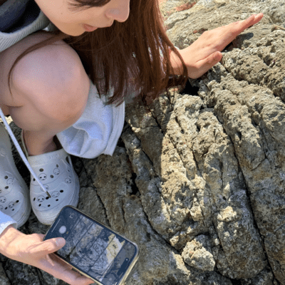 hot cake (hot cake)のジャケット写真