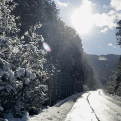 snowy winterのジャケット写真