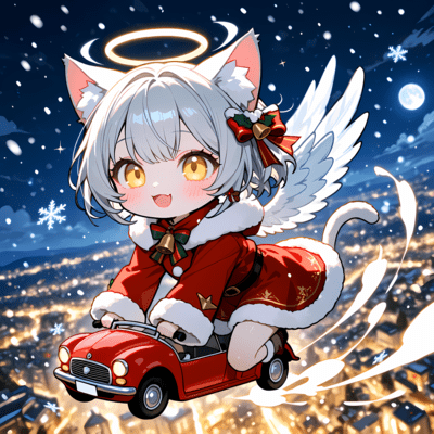 Merry Merry Christmas Delivery from the Sky Front Cover