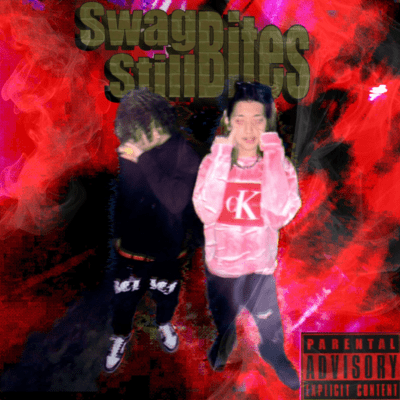 Swag Still Beits Front Cover