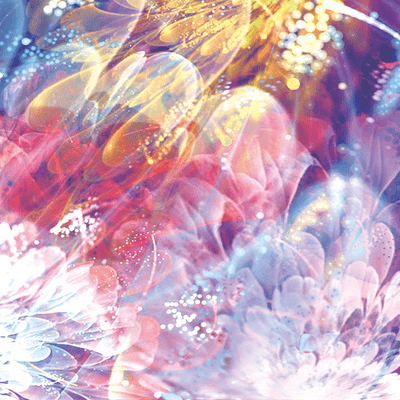 TAMAYURA (Cover) Front Cover