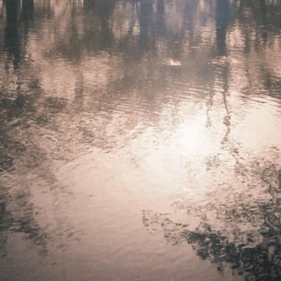 Melody of spring Front Cover