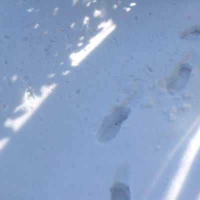 Because I can't put it into words Front Cover