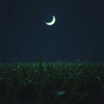 朝露 (Trap)のジャケット写真