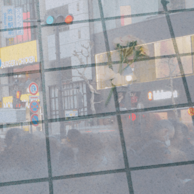 A Flash of Memories Front Cover