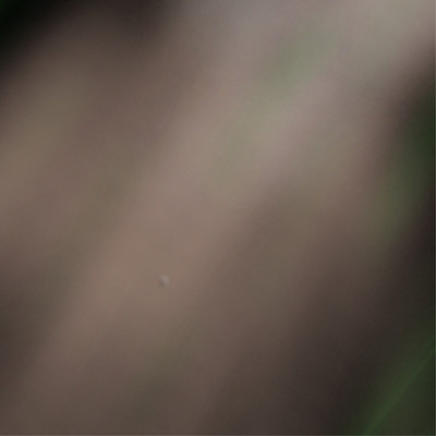 ペイルブルー / グロリアスのジャケット写真