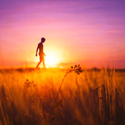 Because You Were Here Front Cover