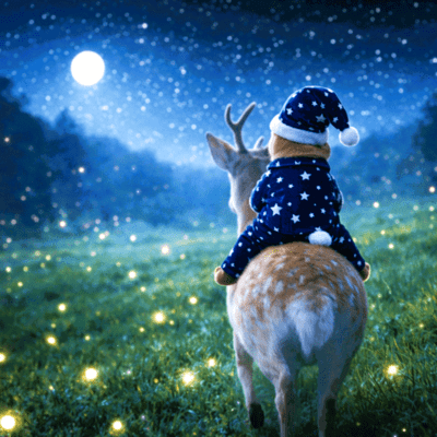 Deep in the Irish Woods Front Cover