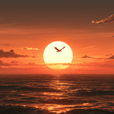 夢で逢えたらのジャケット写真