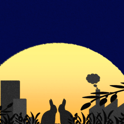 ポプラのジャケット写真