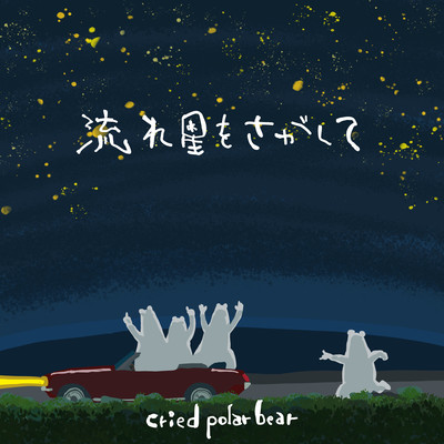 流れ星をさがしてのジャケット写真