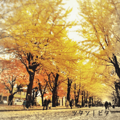 ビターのジャケット写真