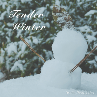 Tender Winter Front Cover