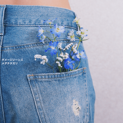 Distressed jeans Front Cover