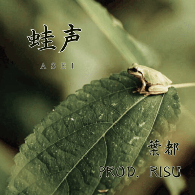 Flog voice Front Cover