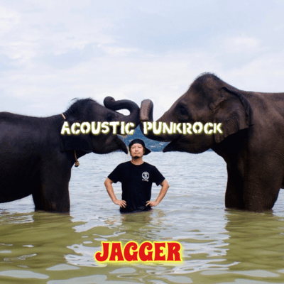 ACOUSTIC PUNKROCK Front Cover