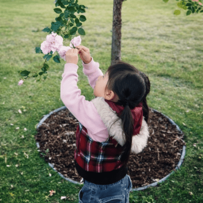 Dad & Mom Front Cover