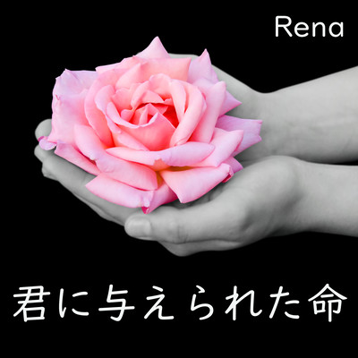 The life you were given Front Cover