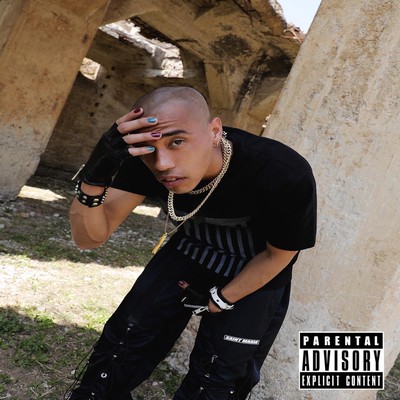 立派にのジャケット写真