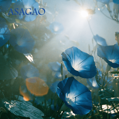 ASAGAO Front Cover