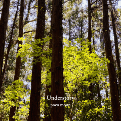 Understory Front Cover