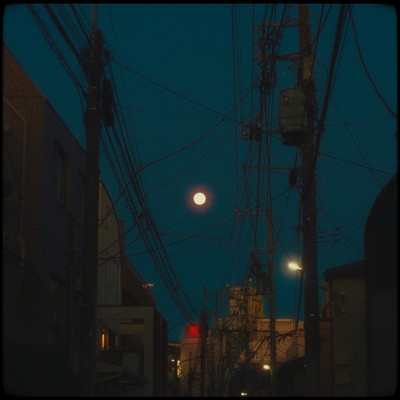 さめないのジャケット写真