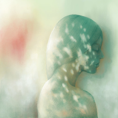 One summer evening Front Cover