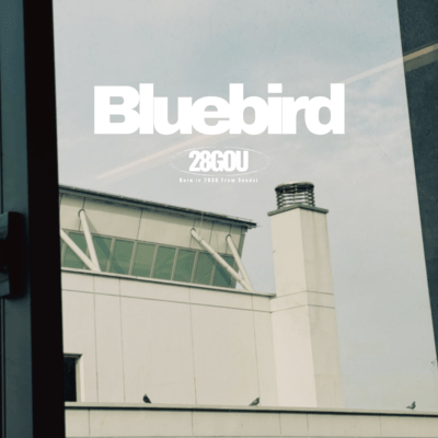 Blue bird Front Cover