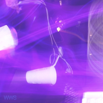 WWSのジャケット写真