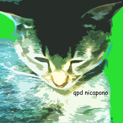 nicaponoのジャケット写真