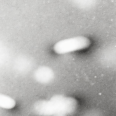 Somnambulism Front Cover