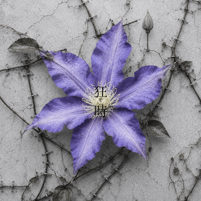 狂時のジャケット写真