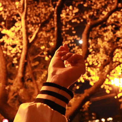 流浪のジャケット写真