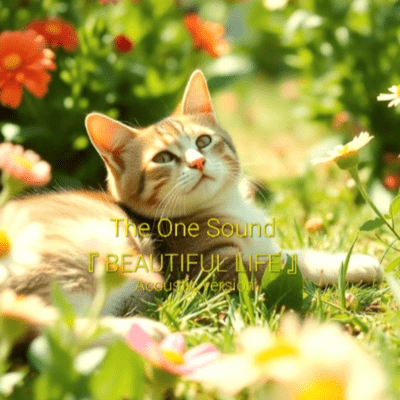 BEAUTIFUL LIFEのジャケット写真