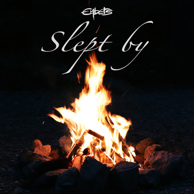 Slept by Front Cover