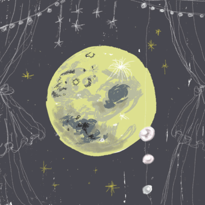 The Transparent Whale Front Cover