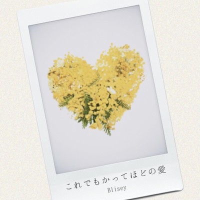 これでもかってほどの愛のジャケット写真