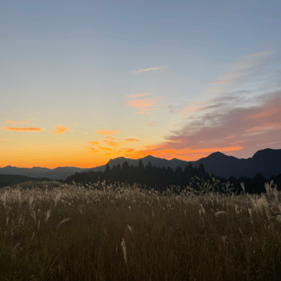 bad day (feat. Err Dali & Lil Yeek)のジャケット写真