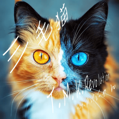 三毛猫 (feat. みけにゃん)のジャケット写真
