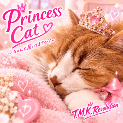 Princess Cat ~ Did it reach you properly?~ Front Cover